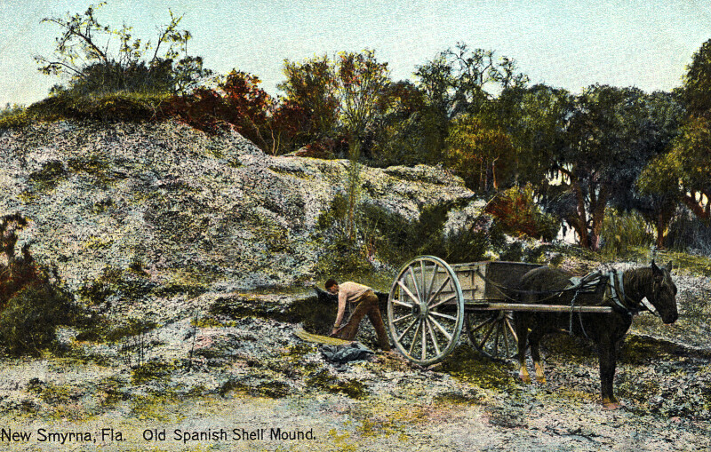 The Old Spanish Shell Mound in New Smyrna Beach, Florida