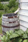 The Rain Barrel with the Warped Staves
