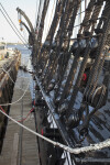 The Shrouds of the USS Constitution