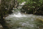 The Sun Shining on a Small Waterfall