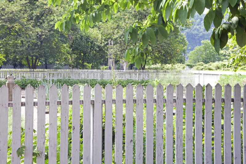 The Top of a White Picket Fence
