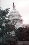 The United States Capitol, with Trees Beneath the Dome