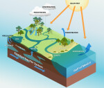 The Water Cycle in Florida