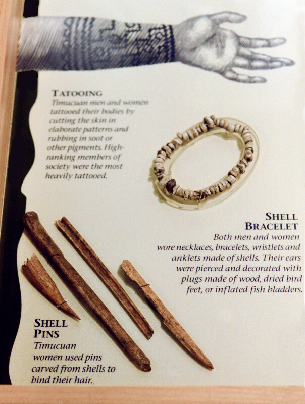 Timucuan Cultural Display - Tattooing, Shell Bracelets, and Shell Pins