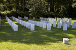 Tombstones in the Shade