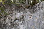 Top of a Quarry Wall