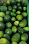 Top View of Many Cucumbers