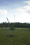 Trail and Radio Tower