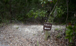 Trail Sign With Arrow