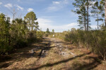 Trail with Shadows