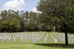 Tree and Graves