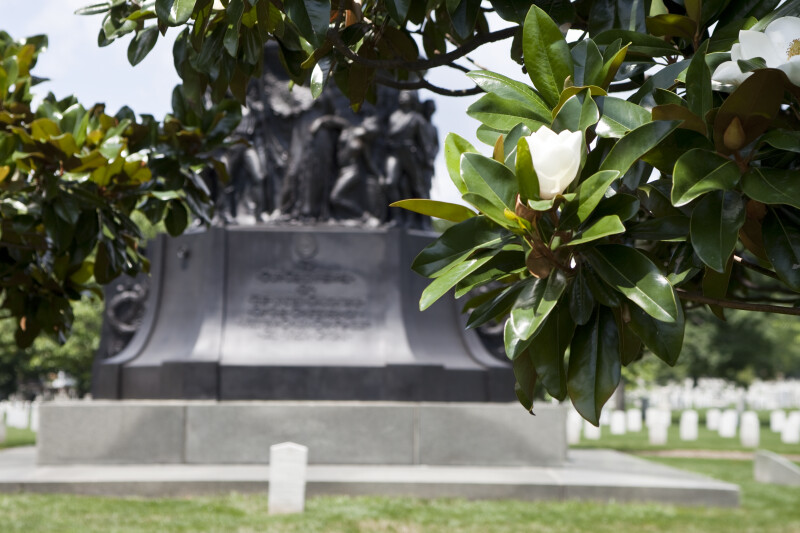 Tree Branches and Confederate Memorial