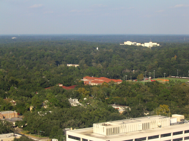 Trees and Buildings in Tallahassee