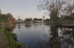 Trees Growing around a Pond