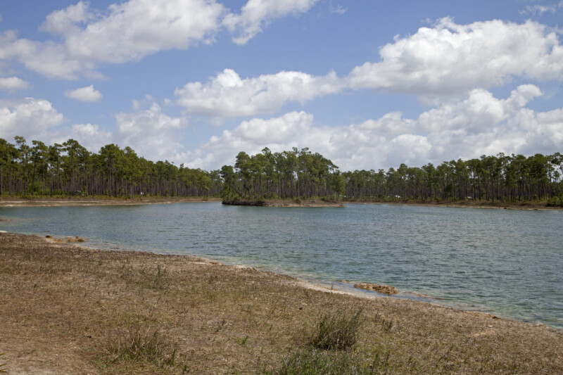 Trees Growing on an Island at Long Pine Key of Everglades National Park