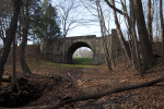 Trees near the Skew Arch Bridge