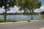 Trees on Lakeside