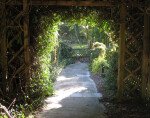 Trellis Arch