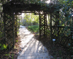 Trellis Archway