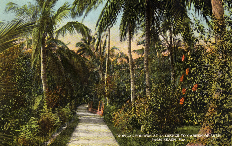 Tropical Foliage at the Entrance to the Garden of Eden