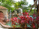 Tropical Plants and Railing