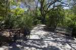 Two Chairs and One Bench