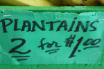 Two Plantains for a Dollar