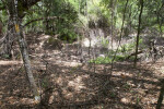 Uneven Ground of a Sinkhole at Chinsegut Wildlife and Environmental Area