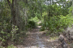 Variety of Vegetation at Chinsegut Wildlife and Environmental Area