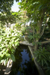 Vegetation and Channel