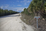 View of Birdon Road at the Big Cypress National Preserve