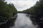 View of Buttonwood Canal