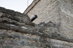 View of Cannon Barrel Protruding  Over the Gundeck Wall of Fort Matanzas