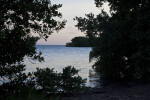 View of the Ocean Through Two Trees