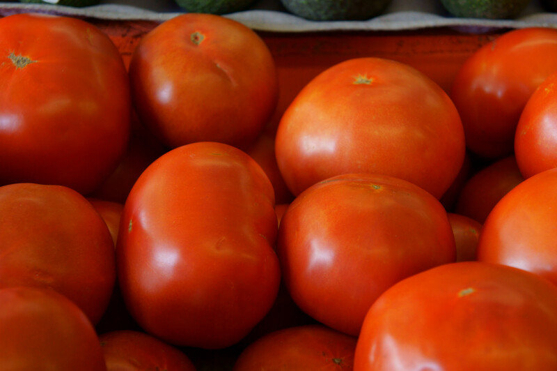 Vine Ripe "Beefstake" Tomatoes at the Tampa Bay Farmers Market