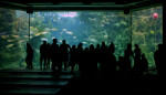 Visitors at Aquarium