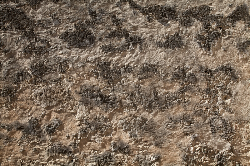 Wall Texture at Mission Concepción