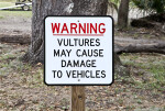 Warning Sign Indicating that Vultures May Cause Damage to Vehicles