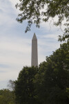 Washington Monument Behind Trees