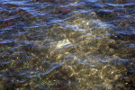 Water and Vegetation