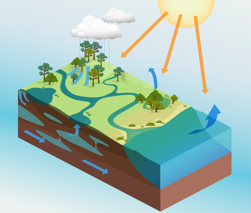 Water Cycle Illustration with Directional Arrows