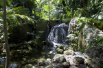 Waterfall and Stream