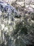 Waterfall at Falling Waters