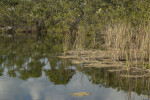 Waters Edge Blue Hole