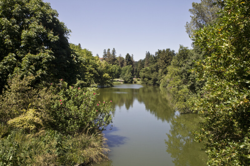 Waterway at the UC Davis Arboretum