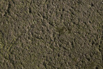 Weathered Concrete with Moss