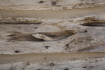 Weathered Wooden Slab