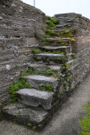 Weeds Growing through Cracks in Stone Stairs