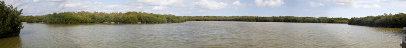West Lake of Everglades National Park