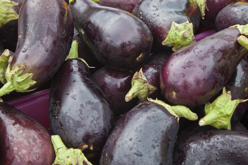 Wet Eggplant Close-Up